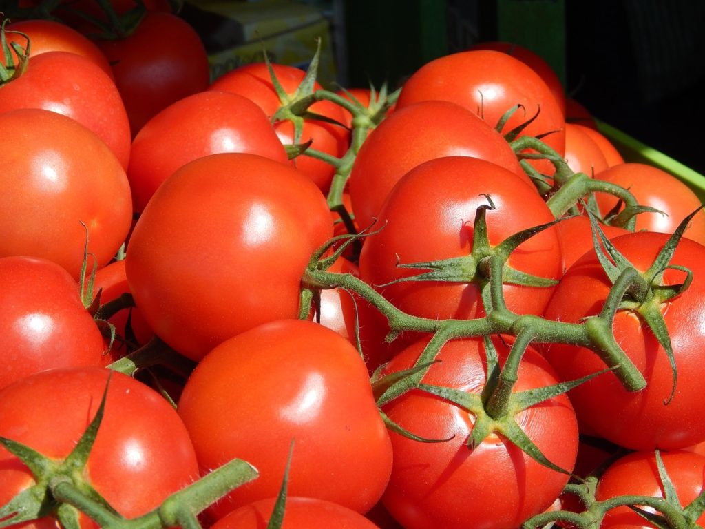 помидоры для печени:польза или вред