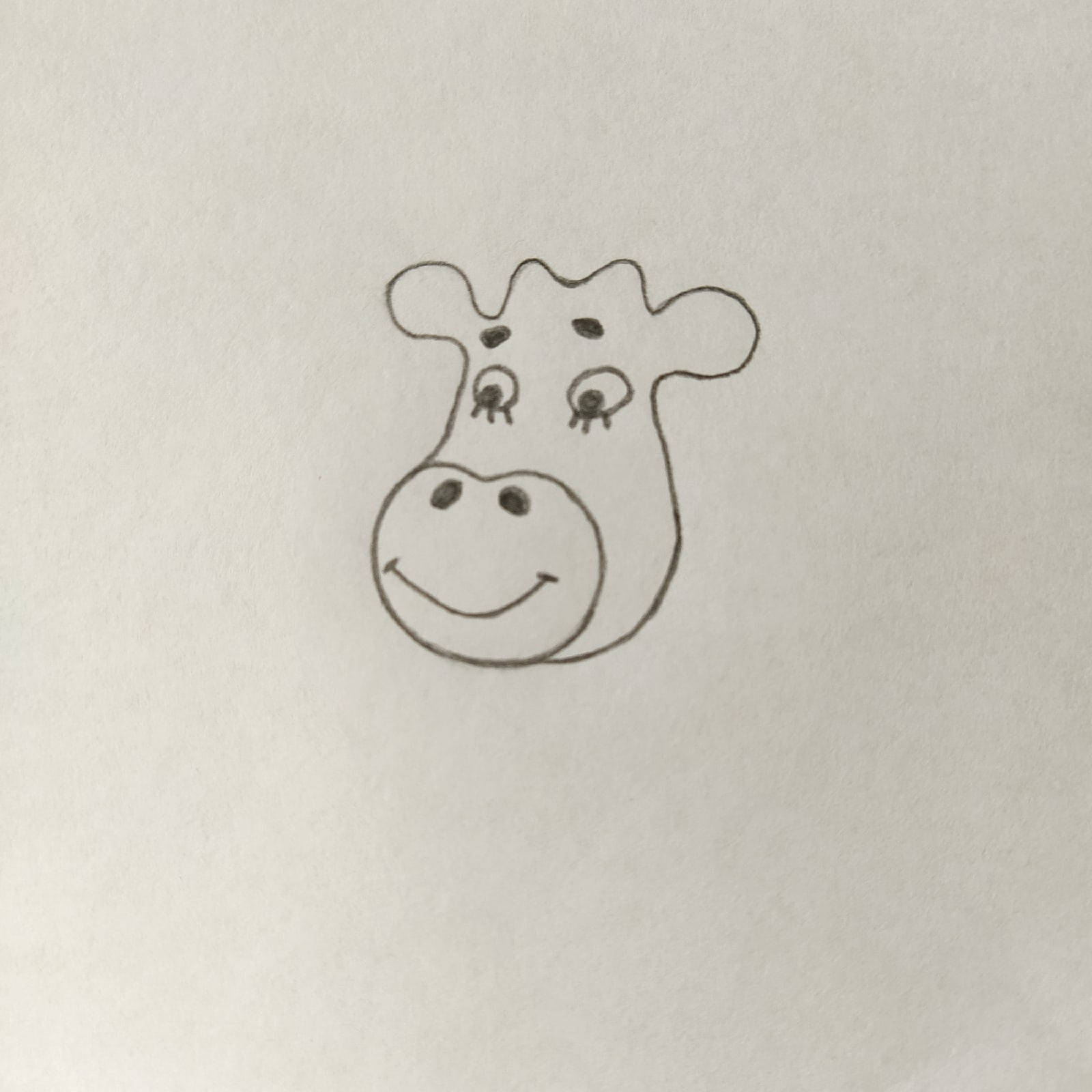 Оранжевая корова. Раскраски для детей оранжевая корова. Нарисовать оранжевую корову. Как нарисовать оранжевую корову