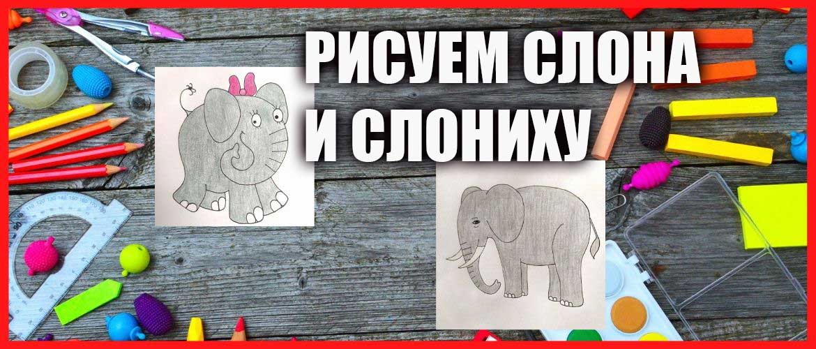 Как нарисовать слона поэтапно карандашом просто для детей