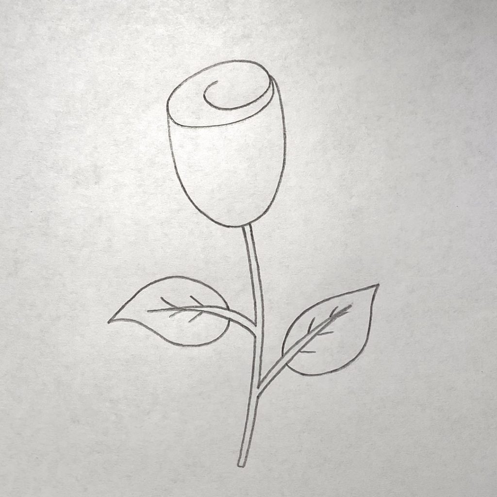 нарисовать розу 